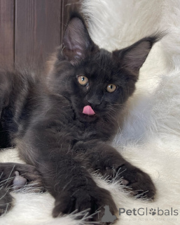 Zdjęcie №3. Delikatna jak szept, jasna jak świt Aurora niesie światło, gdziekolwiek się. Irlandia