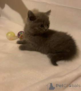 Zdjęcie №1.  - na sprzedaż w Aarbergen | 1674zł | Zapowiedź № 147299