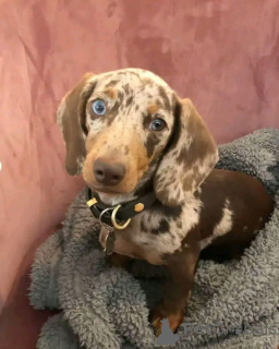 Zdjęcie №4. Sprzedam  w Madryt.  - cena - negocjowane