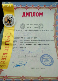 Zdjęcie №4. Sprzedam szpic miniaturowy w Moskwa. od żłobka - cena - 3630zł