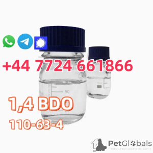 Zdjęcie №1. amerykański bobtail długowłosy - na sprzedaż w Tampa | negocjowane | Zapowiedź № 142167