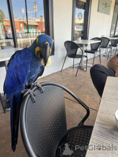 Zdjęcie №1.  - na sprzedaż w Hamburg | Bezpłatny | Zapowiedź №162292