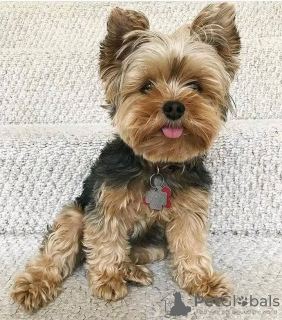 Zdjęcie №1.  - na sprzedaż w Ohio City | Bezpłatny | Zapowiedź №123117