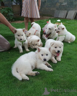 Zdjęcie №1.  - na sprzedaż w Monachium-Flughafen | negocjowane | Zapowiedź №158041