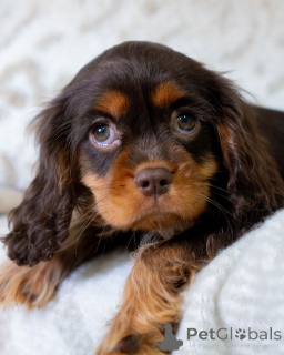 Zdjęcie №3. Słodkie, zabawne i pełne słońca serce Lily rozkwita miłością, gdziekolwiek się. Szwajcaria