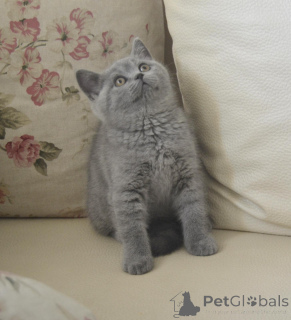 Zdjęcie №3. Roxana Mihalcea. Rumunia