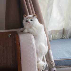 Zdjęcie №2 do zapowiedźy № 129159 na sprzedaż  amerykański bobtail długowłosy - wkupić się Barbados prywatne ogłoszenie