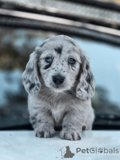 Zdjęcie №4. Sprzedam  w Aarschot.  - cena - negocjowane