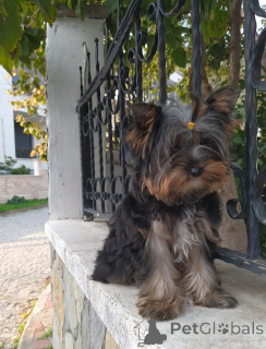 Zdjęcie №3. Koralik Yorochka za wielką miłość. Turcja