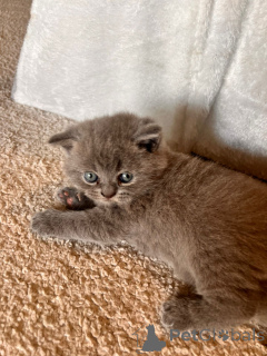 Zdjęcie №3. Pogawędzić. Francja