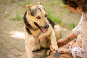 Zdjęcie №3. Barry szuka swojego mężczyzny!. Federacja Rosyjska