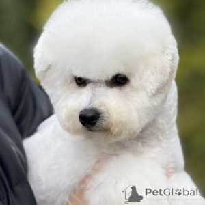 Zdjęcie №1.  - na sprzedaż w Kowno | 7175zł | Zapowiedź №159516