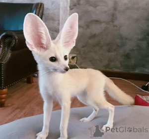 Zdjęcie №1.  - na sprzedaż w Frankfurt | negocjowane | Zapowiedź № 162882