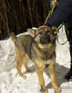 Zdjęcie №1.  - na sprzedaż w Rzeka Moskwa | Bezpłatny | Zapowiedź №165691