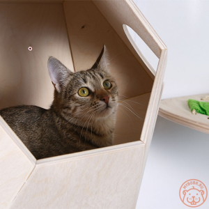 Zdjęcie №3. Kompleks ścienny Yatta w Federacja Rosyjska