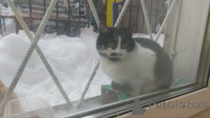 Zdjęcie №4. Sprzedam  w Rzeka Moskwa. prywatne ogłoszenie - cena - Bezpłatny