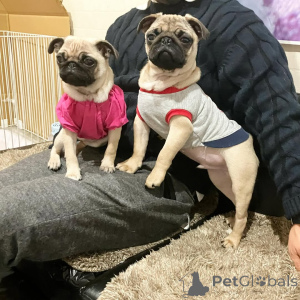 Zdjęcie №1.  - na sprzedaż w Berlin | 3109zł | Zapowiedź №140568