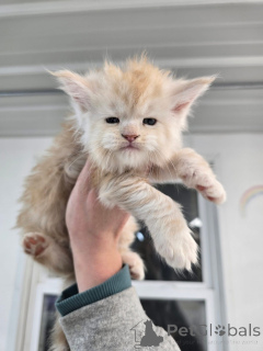 Zdjęcie №1.  - na sprzedaż w Aalen | negocjowane | Zapowiedź № 156476