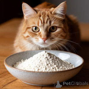 Zdjęcie №3. Północne rogi jeleni. Federacja Rosyjska