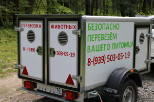 Zdjęcie №1. Usługi dostawy i transportu kotów i psów w Kazań. Zapowiedź № 3362