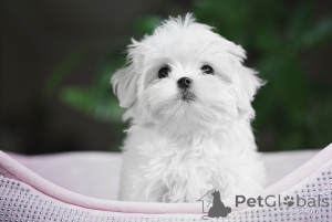 Zdjęcie №3. Natalia Martsinyak. Ukraina