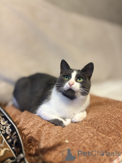 Zdjęcie №2 do zapowiedźy № 156450 na sprzedaż   - wkupić się Białoruś prywatne ogłoszenie