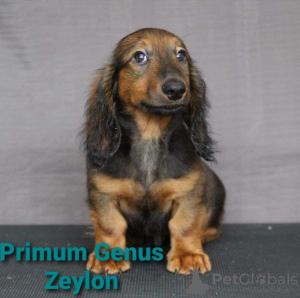 Zdjęcie №2 do zapowiedźy № 9020 na sprzedaż   - wkupić się Federacja Rosyjska od żłobka