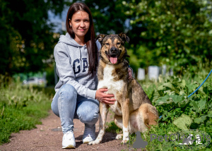 Dodatkowe zdjęcia: Młody, wesoły pies Bim szuka domu.