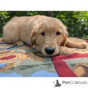 Zdjęcie №3. Tylko pozytywna atmosfera. Australia