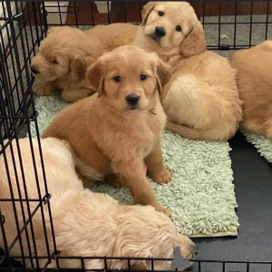 Zdjęcie №1.  - na sprzedaż w Barsena de Sisero | negocjowane | Zapowiedź №160317