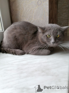 Zdjęcie №3. Przystojny Timosha szuka najmilszej matki na świecie.. Białoruś