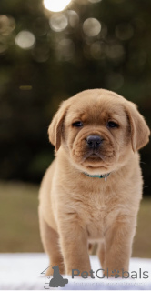 Zdjęcie №1.  - na sprzedaż w Manchester | negocjowane | Zapowiedź №160258