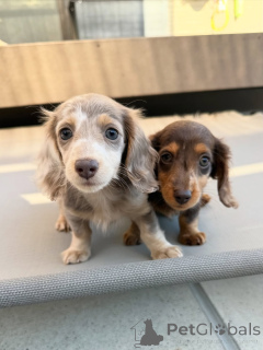 Zdjęcie №2 do zapowiedźy № 164020 na sprzedaż   - wkupić się Finlandia prywatne ogłoszenie, ze schronu