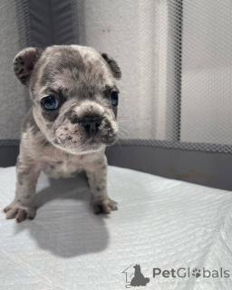 Zdjęcie №4. Sprzedam  w Teksas.  - cena - negocjowane