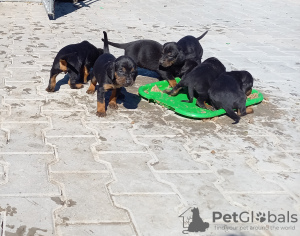 Zdjęcie №3. Justyna Posiewka. Polska