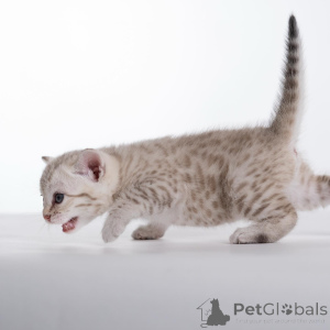 Zdjęcie №3. Nieustraszony, zabawny i pełen uroku poznaj Kai, naszego dzikiego małego księcia. Szwecja