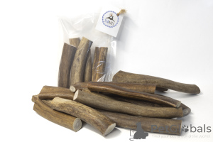 Zdjęcie №4. Cungal Wymiarowy róg północnego jelenia i łosia w Federacja Rosyjska. Zapowiedź № 139156