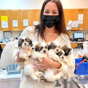 Zdjęcie №1.  - na sprzedaż w Azbest | negocjowane | Zapowiedź №161565