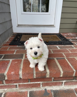 Zdjęcie №1.  - na sprzedaż w Augsburg | 1913zł | Zapowiedź №148955