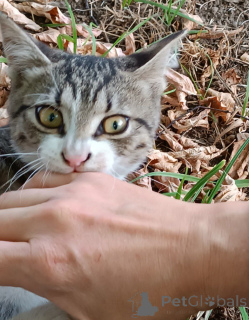 Zdjęcie №4. Sprzedam  w Rzeka Moskwa.  - cena - Bezpłatny