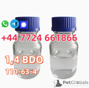 Zdjęcie №2 do zapowiedźy № 142167 na sprzedaż  amerykański bobtail długowłosy - wkupić się USA prywatne ogłoszenie