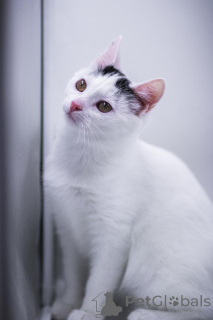 Zdjęcie №3. Mała Curla jest w dobrych rękach!. Federacja Rosyjska