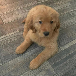 Zdjęcie №2 do zapowiedźy № 160317 na sprzedaż   - wkupić się Hiszpania prywatne ogłoszenie