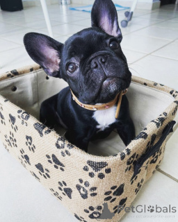 Zdjęcie №2 do zapowiedźy № 163573 na sprzedaż   - wkupić się Włochy 