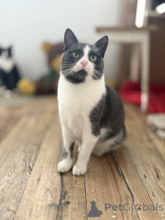 Zdjęcie №3. Urocza Livi. Białoruś