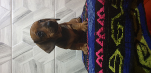 Zdjęcie №3. Evgenia Chernomorova. Białoruś