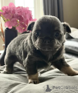 Zdjęcie №1.  - na sprzedaż w Grevesmühlen | 1387zł | Zapowiedź №167681