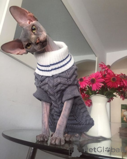 Zdjęcie №1. bambino - na sprzedaż w Aizlingen | 2153zł | Zapowiedź № 158829