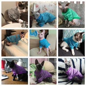 Zdjęcie №2. Ubrania dla psów i kotów w Federacja Rosyjska. Price - 33zł. Zapowiedź № 1174