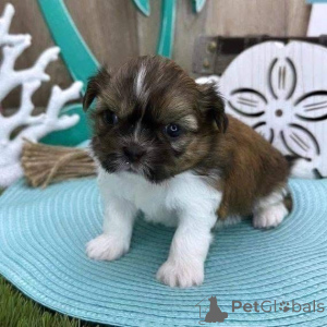 Zdjęcie №4. Sprzedam  w Fredericksborg.  - cena - 2317zł